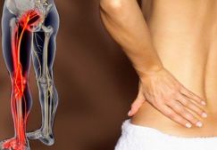 Почему боль в спине отдает в ногу: причины, лечение, что делать когда болит спина