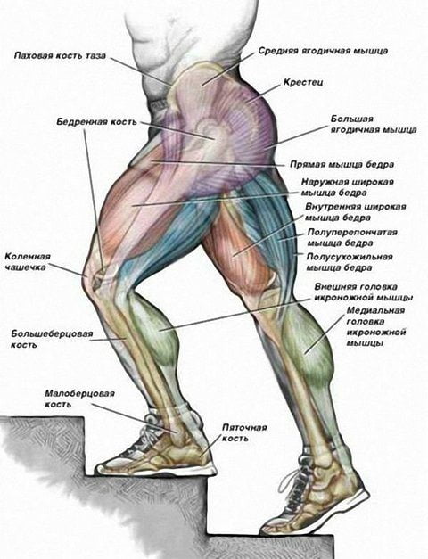 Как снять боль в мышцах ног в домашних условиях