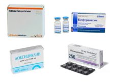 Все лекарства которые лечат суставы узи плечевых суставов протокол