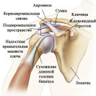 Эпикондилит плечевого сустава: причины, виды, диагностика и способы лечения