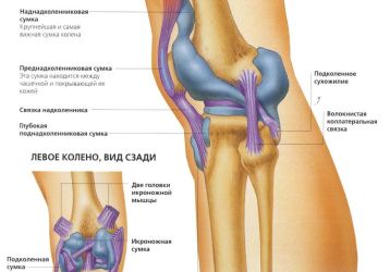 Лигаментит коленного сустава: клинические симптомы, диагностика, лечение
