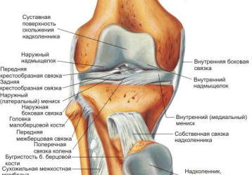 Эффективное лечение коленных суставов народными средствами