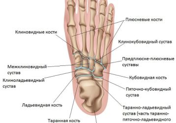 Таранно-ладьевидный сустав: причины артроза, признаки и лечение