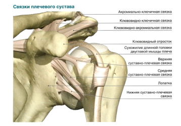 Разрыв связок плечевого сустава: симптомы, лечение и срок заживления