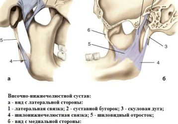 Воспаление челюстного сустава: симптомы, лечение