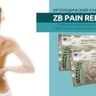 Китайские пластыри от остеохондроза: состав и лечебный эффект, как применять, где купить