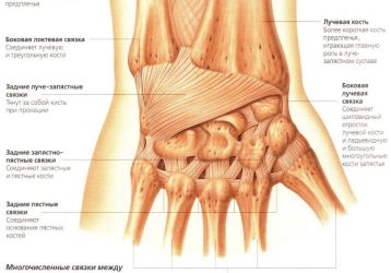 Лечение лучезапястного сустава: основные диагнозы и методы терапии