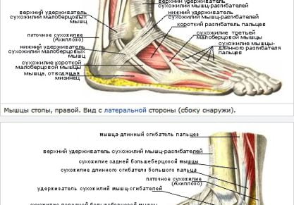 Боль в голеностопном суставе: причины и лечение