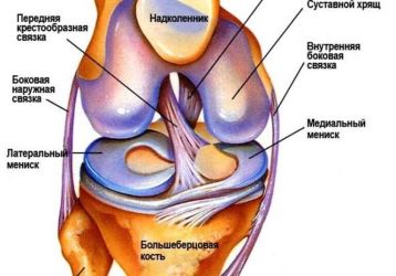 Лечение лигаментоза крестообразных связок коленного сустава: что это такое