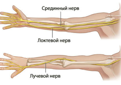 Почему немеет левая рука от локтя до пальцев: способы лечения