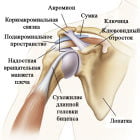 Боль в плечевом суставе: причины, лечение и рекомендации