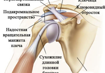 Упражнения при плечелопаточном периартрите и не только