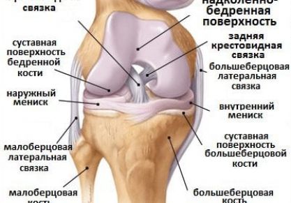 Эффективные упражнения для укрепления коленного сустава