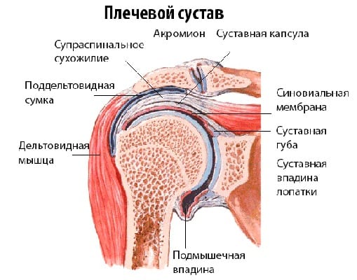 Лечение острого артрита плечевого сустава