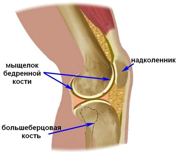 Изображение - Болят связки коленного сустава с внешней стороны bolit-koleno-sboku-s-vneshnej-storony