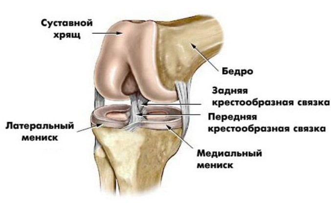 Изображение - Разрыв крестообразной связки коленного сустава лечение razryv-krestoobraznoj-svyazki-kolena