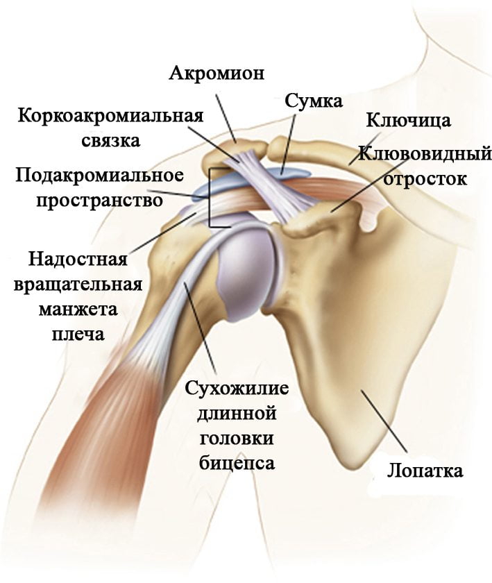 Комплекс упражнений Попова при плечелопаточном периартрите