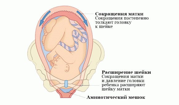 Болит поясница во время беременности на раннем сроке