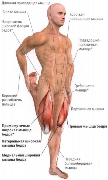 Болят мышцы ног выше колена и ягодиц: причины и лечение боли над бедрами