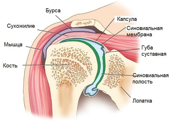 Артрит лечение воспаление плечевого сустава thumbnail