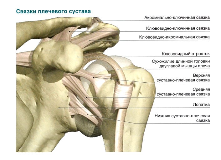 Плечевая кость выходит из сустава